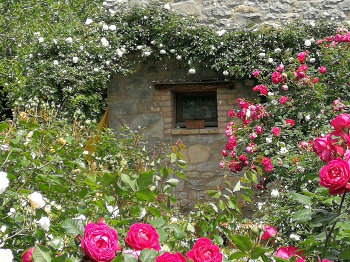 Ca Di Minu Villa Tarzo Exterior foto